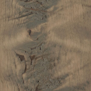 Seashell-D22N09096-Rough-Sawn-Wormy-Maple
