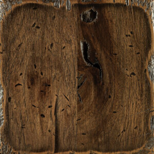 Distressed-Weathered-Treebark-SP-166-Rustic-Hickory